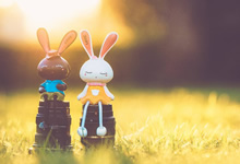 富勒姆主场胜狼队，逆转战绩稳步向前迈进