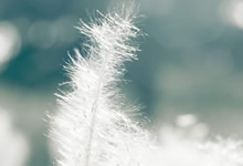 PSG遭殃于败绩，金身告破黑马之下