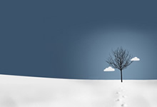 意大利队员在国际足球赛事中获得好成绩