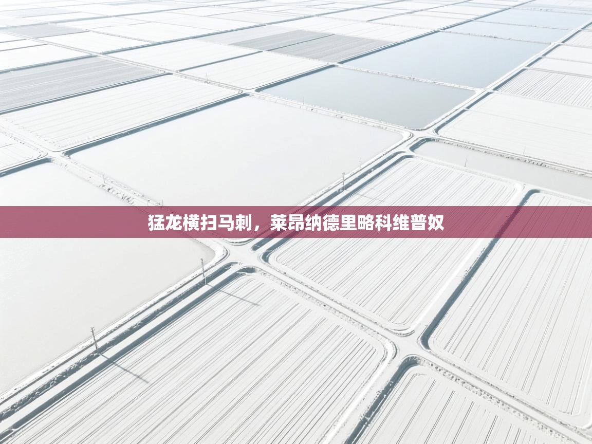 猛龙横扫马刺,莱昂纳德里略科维普奴 第1张