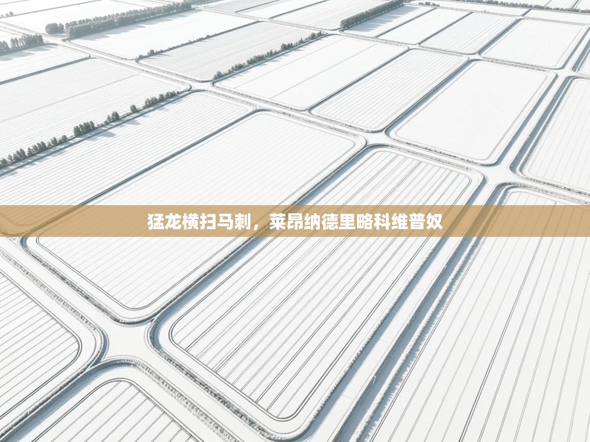 猛龙横扫马刺,莱昂纳德里略科维普奴 第2张