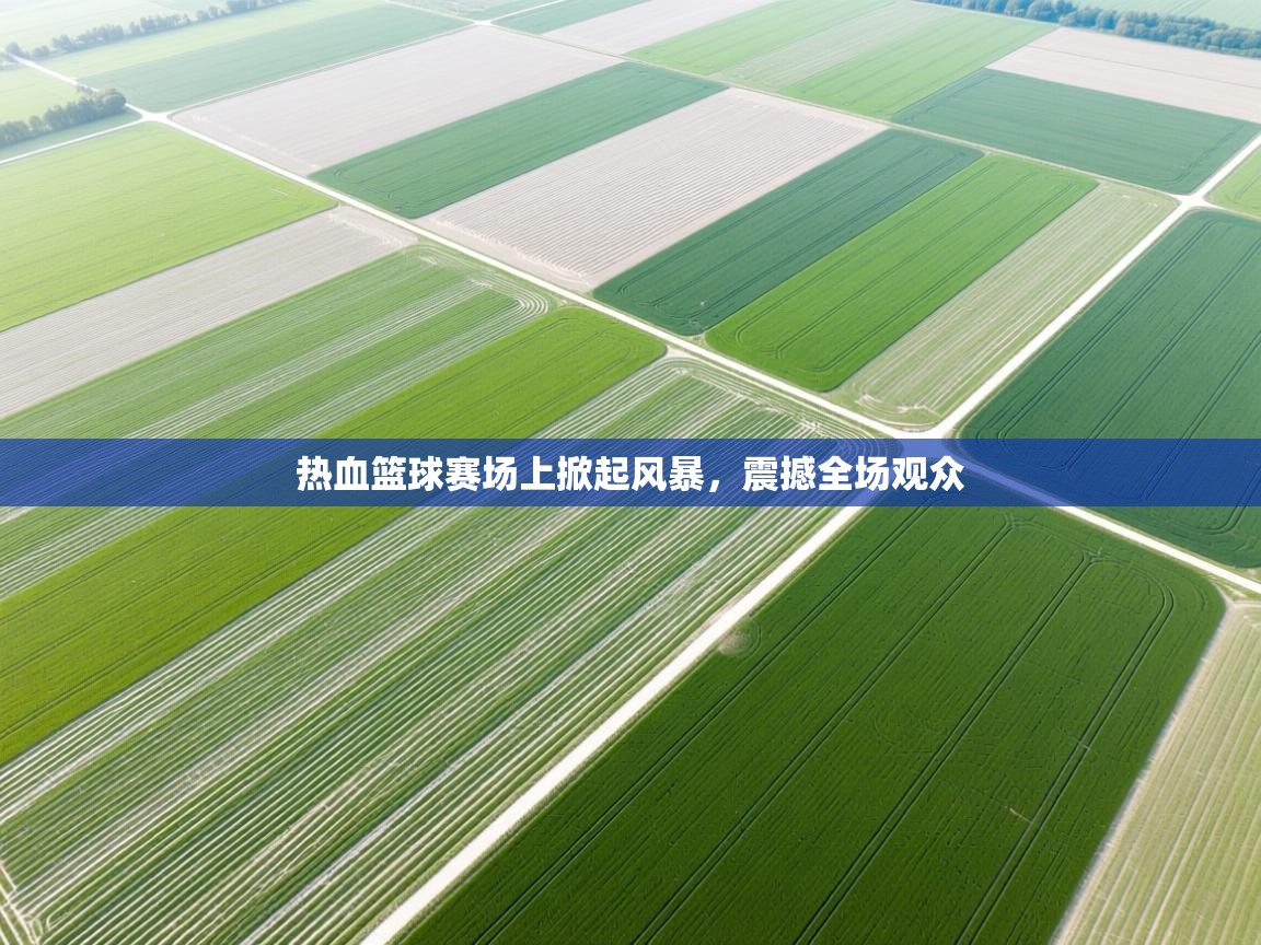 热血篮球赛场上掀起风暴，震撼全场观众  第2张