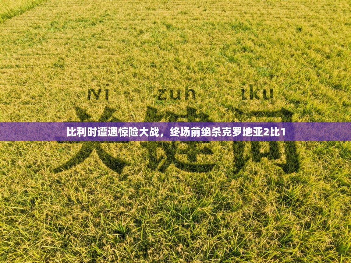 比利时遭遇惊险大战，终场前绝杀克罗地亚2比1  第2张