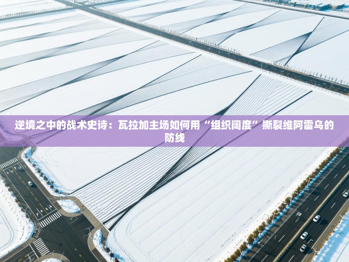 逆境之中的战术史诗：瓦拉加主场如何用“组织阔度”撕裂维阿雷乌的防线  第1张