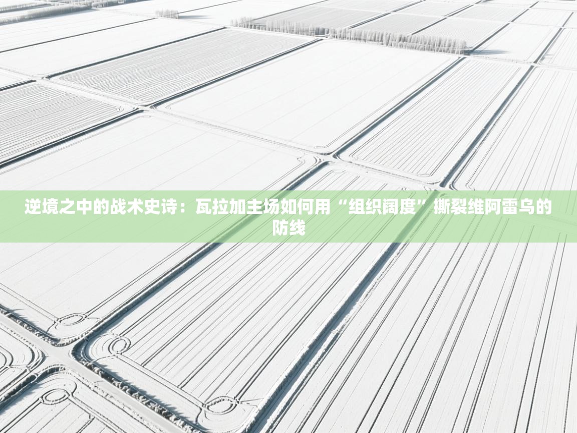 逆境之中的战术史诗：瓦拉加主场如何用“组织阔度”撕裂维阿雷乌的防线  第2张