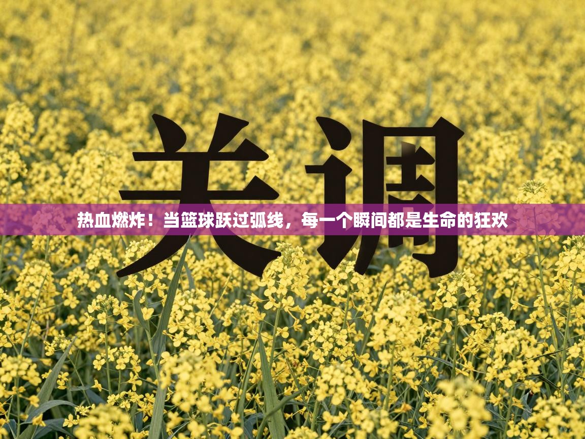 热血燃炸！当篮球跃过弧线，每一个瞬间都是生命的狂欢  第2张