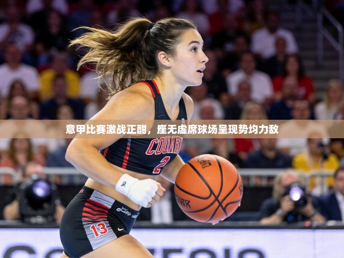 意甲比赛激战正酣,座无虚席球场呈现势均力敌 第1张