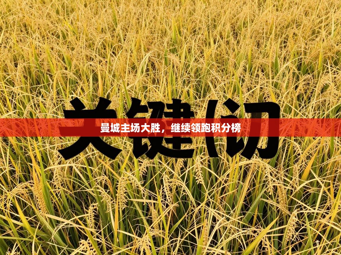 曼城主场大胜，继续领跑积分榜  第1张