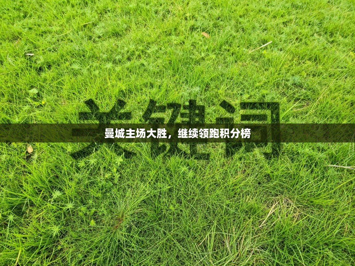 曼城主场大胜，继续领跑积分榜  第2张